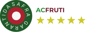 Logo Stars